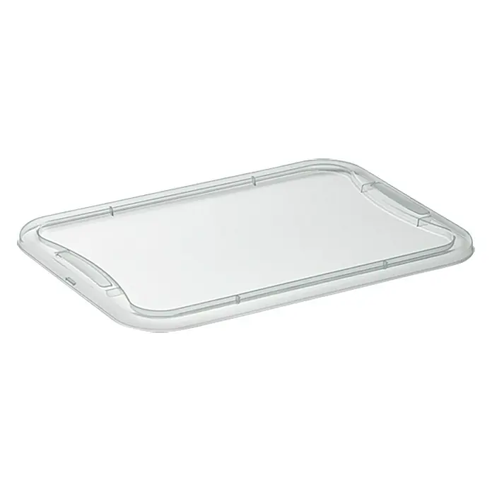 Regalux Tapa para Clear Box XXS - L x An: 25,6 x 18,1 cm, Específico para: Regalux Clear Box XXS - Tapa de plástico transparente, ideal para cubrir y proteger alimentos. Diseño transparente para fácil identificación del contenido.