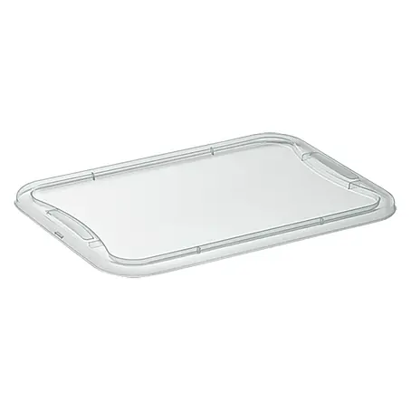 Regalux  Tapa para Clear Box XXS