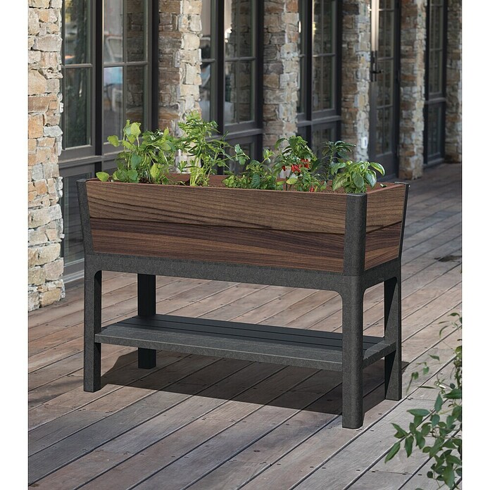 Keter Visoka gredica Ashwood  (47,5 x 113 x 79,5 cm, Plastika, Orah) | BAUHAUS