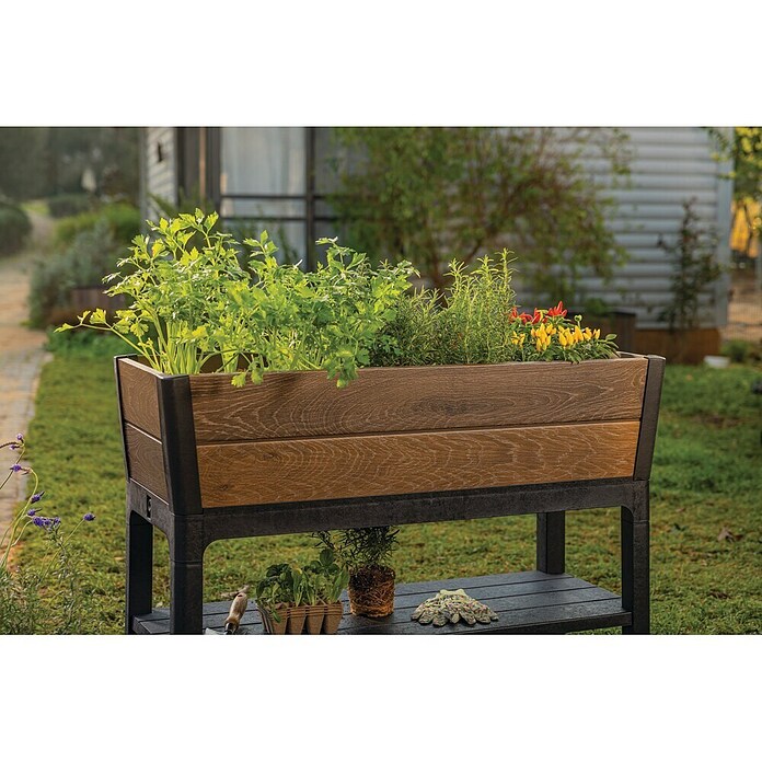 Keter Visoka gredica Ashwood  (47,5 x 113 x 79,5 cm, Plastika, Orah) | BAUHAUS