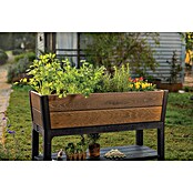 Keter Visoka gredica Ashwood  (47,5 x 113 x 79,5 cm, Plastika, Orah) | BAUHAUS