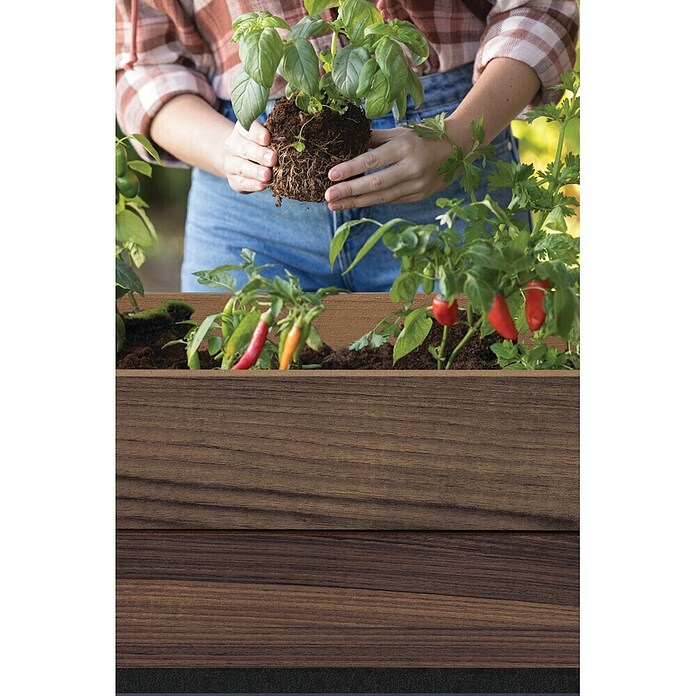 Keter Visoka gredica Ashwood  (47,5 x 113 x 79,5 cm, Plastika, Orah) | BAUHAUS