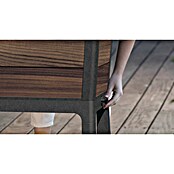 Keter Visoka gredica Ashwood  (47,5 x 113 x 79,5 cm, Plastika, Orah) | BAUHAUS