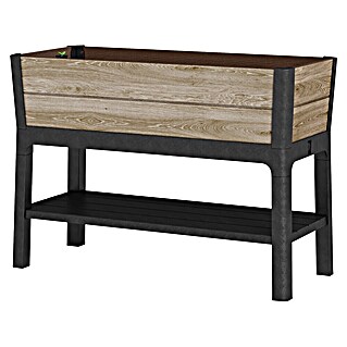 Keter Visoka gredica Ashwood (47,5 x 113 x 79,8 cm, Plastika, Smeđa)