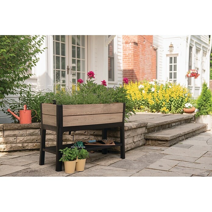 Keter Visoka gredica Ashwood  (47,5 x 113 x 79,8 cm, Plastika, Smeđa) | BAUHAUS