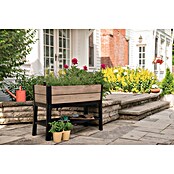 Keter Visoka gredica Ashwood  (47,5 x 113 x 79,8 cm, Plastika, Smeđa) | BAUHAUS