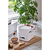 SmartStore Aufbewahrungsbox Compact (L x B x H: 14,5 x 9 x 6 cm, Kunststoff, Weiß)