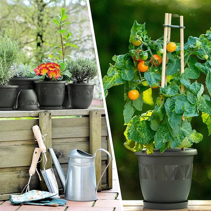 Plastard Pflanztopf Capri 3er Set mit Untersetzer in Anthrazit – Blumentopf - 3 Stk., Kunststoff, Anthrazit - Dunkelgraue Pflanzgefäße mit geometrischem Muster, die verschiedene Pflanzen in einer Gartenumgebung enthalten.