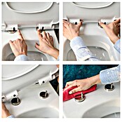 Straniščna deska  (Duroplast, Bela, Š x Do: 37,8 x 43,7 cm) | 3791 - WC-Sitz Polyresin | DADI - WC-Sitze | DAD - Badausstattung | DA - Badausstattung/Bäderwelt | D - Sanitär | BAUHAUS