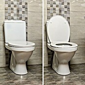 Straniščna deska  (Duroplast, Bela, Š x Do: 37,8 x 43,7 cm) | 3791 - WC-Sitz Polyresin | DADI - WC-Sitze | DAD - Badausstattung | DA - Badausstattung/Bäderwelt | D - Sanitär | BAUHAUS