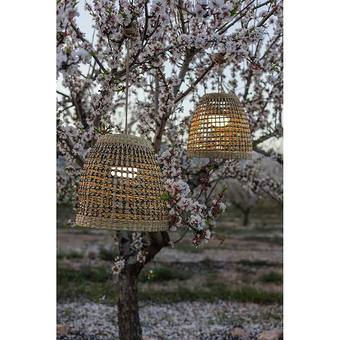 New Garden Lámpara colgante LED recargable Positano 35 - 9 W, Marrón, Ø x Al: 33 x 35 cm, Blanco cálido - Dos lámparas tejidas con luz cálida cuelgan de un árbol con flores blancas.