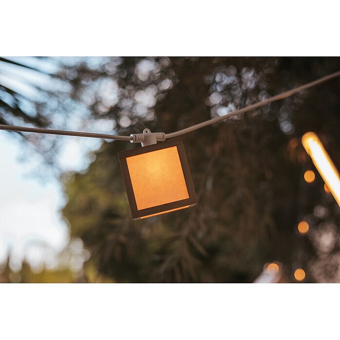 New Garden Guirnalda solar LED Vega (Para exterior, 8 m, Blanco cálido) | BAUHAUS