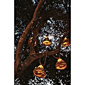 New Garden Guirnalda solar LED Maro (8 m, Para exterior, Blanco cálido, 10 ud.) | BAUHAUS