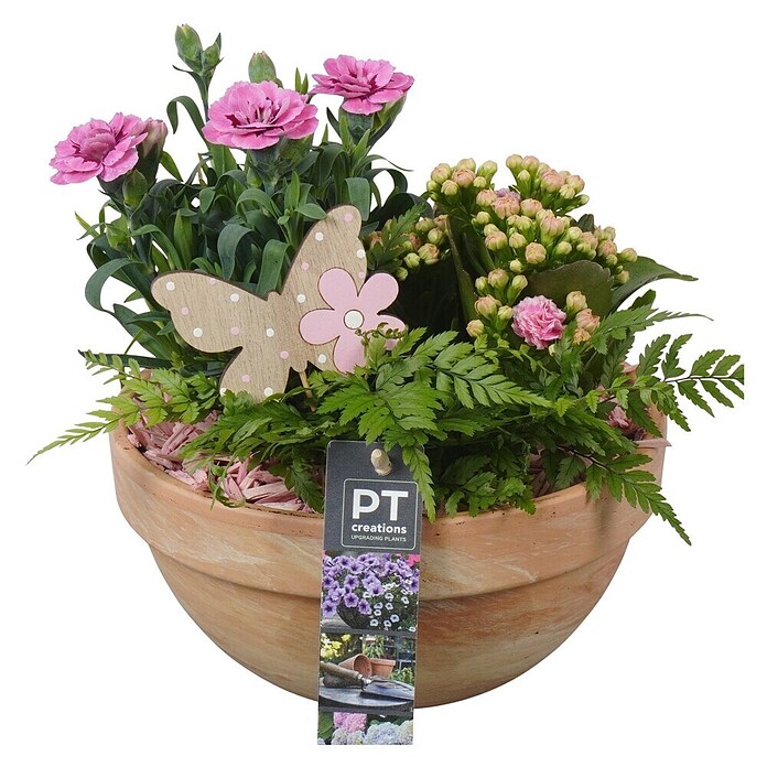Outdoor Arrangement Nr. 18 0