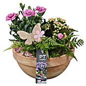 Outdoor Arrangement Nr. 18 0