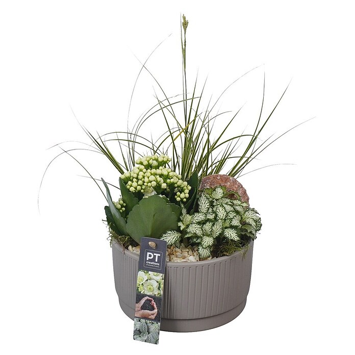 Arrangement Indoor Ostern Nr. 8 0