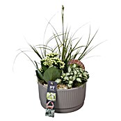 Arrangement Indoor Ostern Nr. 8 0