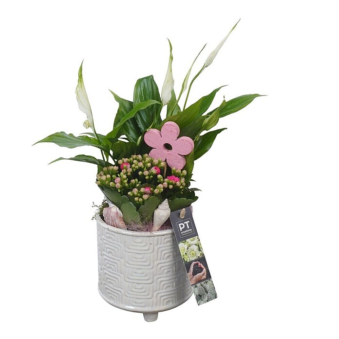 Arrangement Indoor Ostern Nr. 12 0