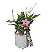 Arrangement Indoor Ostern Nr. 12 0