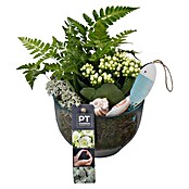 Arrangement Indoor Herbst Nr. 2 27
