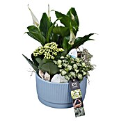 Arrangement Indoor Ostern Nr. 16 13