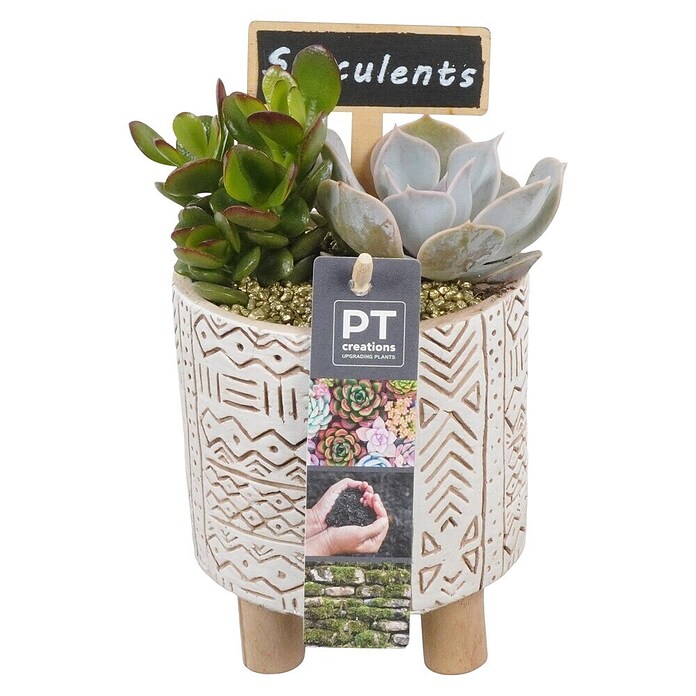 Arrangement Indoor Maritim Nr. 7 22