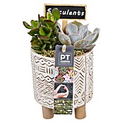 Arrangement Indoor Maritim Nr. 7 22