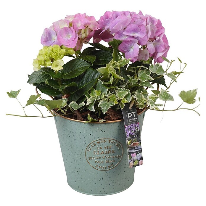 Arrangement Outdoor Aktion Nr. 16 0