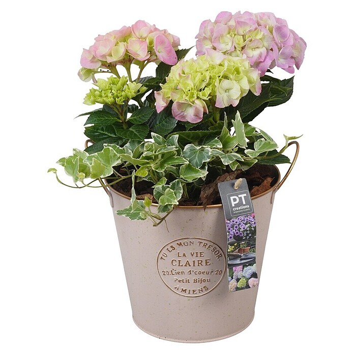 Arrangement Outdoor Aktion Nr. 1 0