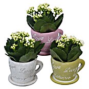 Arrangement Indoor Ostern Nr. 7 0