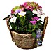 Piardino Garten-Arrangement Outdoor Nr. 5 im Korb 