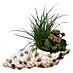 Piardino Pflanzenarrangement 