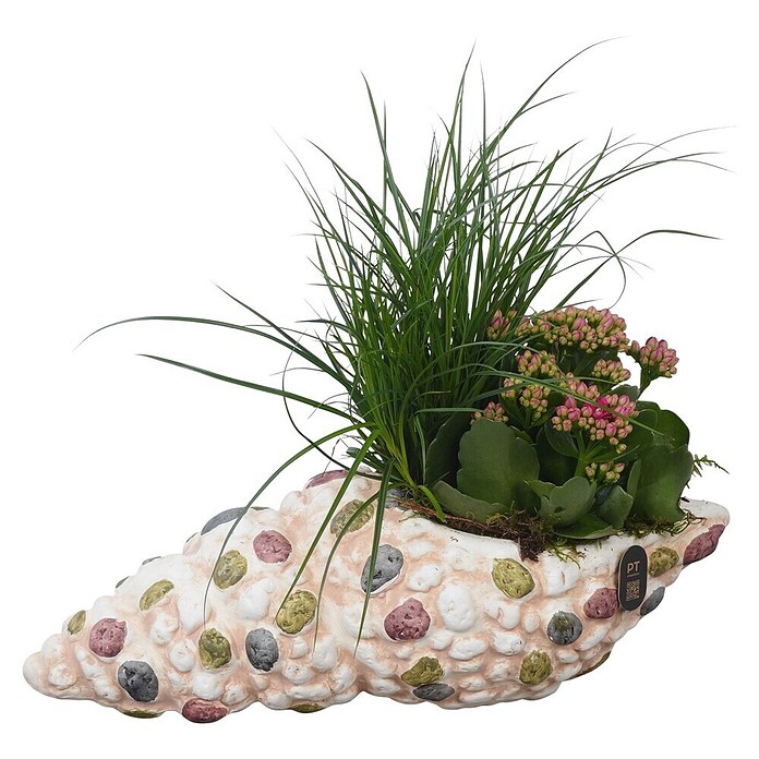 Ourdoor Arrangement Nr. 13 0