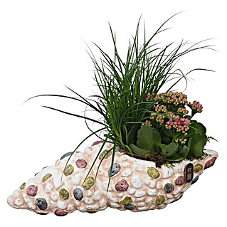 Piardino Pflanzenarrangement (Topfgröße: 33 cm)
