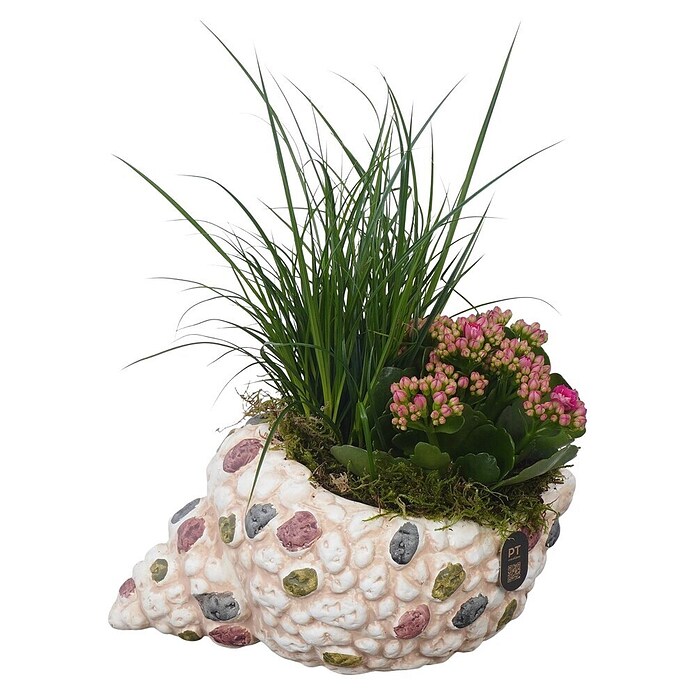 Outdoor Arrangement NR.23 0