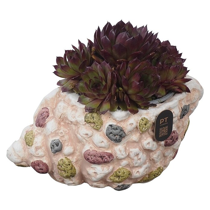 Outdoor Arrangement NR.22 0