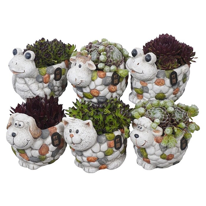 Pflanzenarrangement Style Outdoor 1 0