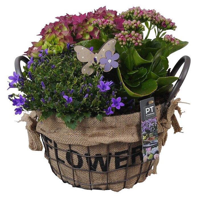 Outdoor Arrangement Nr. 11 0