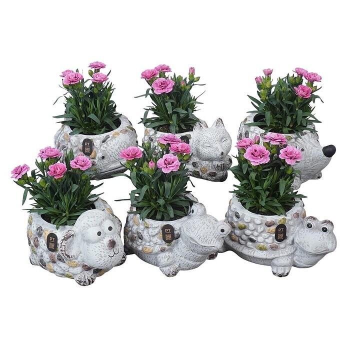 Outdoor Arrangement Nr. 12 0