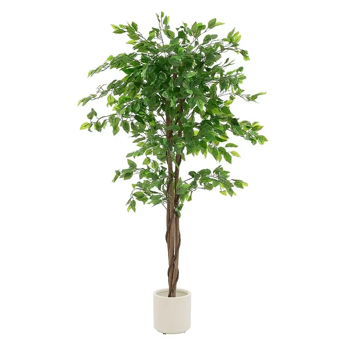 ML-Design Kunstpflanze Ficus Kunstbaum für Innen & Außen mit Naturholzstamm im Topf - Blütenfarbe: Grün, Holz - Künstlicher Ficusbaum mit grünen Blättern und verschlungenen braunen Stämmen in einem weißen Keramiktopf.