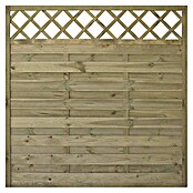 Panelna ograja Roma  (Š x V: 180 x 180 cm, Les, Zelene barve) | 7411 - Lamellenzäune/Dichtzäune | IAGB - Gartenholz | IAG - Außenbereichsausstattung | IA - Gartenhartware | I - Stadtgarten | BAUHAUS