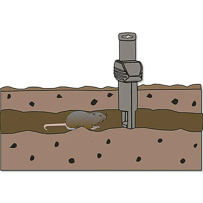 Swissinno SuperCat Wühlmausfalle - Unterirdische Falle - Eine Illustration einer Maulwurfsfalle, die in einem Maulwurfsbau platziert ist, mit einem Maulwurf in der Nähe.