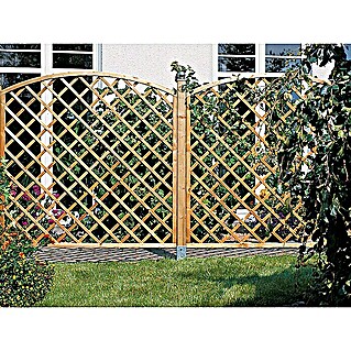 Rešetkasta ograda za biljke penjačice s lukom (Š x V: 180 x 180 cm)
