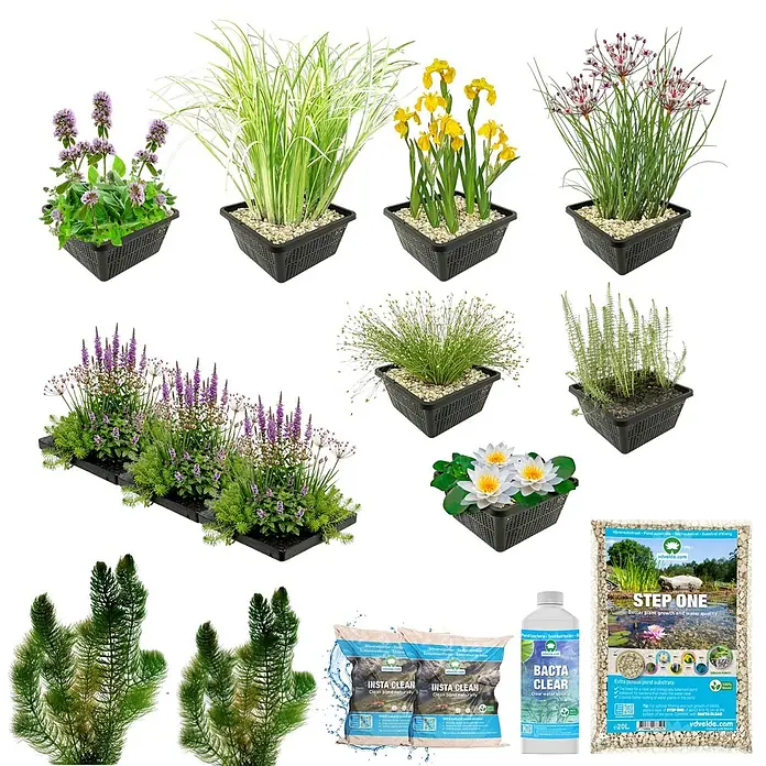 Vdvelde Wasserpflanzen-Mix - Pflanzenmischung, 116 Stk. - Eine Auswahl an Teichpflanzen in Töpfen, schwimmende und Unterwasserpflanzen sowie Teichpflegeprodukte (Reiniger, Bakterien, Substrat).