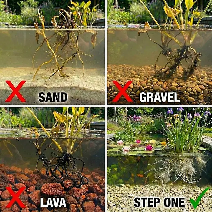Vdvelde Wasserpflanzen-Mix - Pflanzenmischung, 43 Stk. - Kräftige Teichpflanzen mit gesunden Wurzeln in hellem Kiesel-Substrat, sorgt für klares Wasser und blühendes aquatisches Leben.