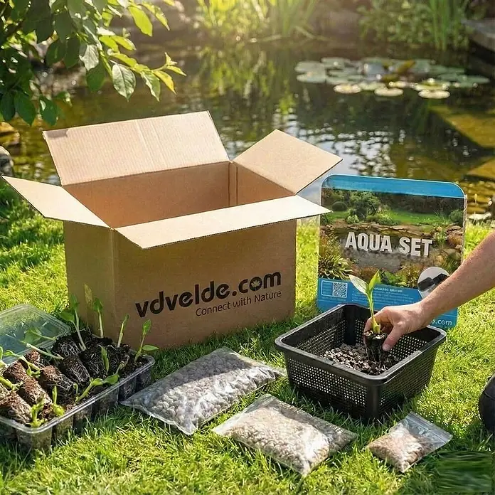 Vdvelde Wasserpflanzen-Mix - Pflanzenmischung, 4 Stk. - Ein Teichpflanzen-Aqua-Set mit geöffnetem Karton, schwarzem Pflanzkorb, kleinen Grünpflanzen und Substratbeuteln, auf Gras am Teich.