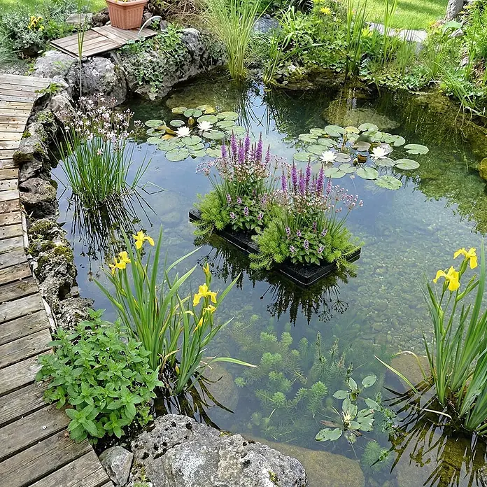 Vdvelde Wasserpflanzen-Mix - Pflanzenmischung, 116 Stk. - Ein klarer Gartenteich mit weißen Seerosen, gelben Schwertlilien, lila Pflanzen auf Schwimminseln und einem Holzweg.