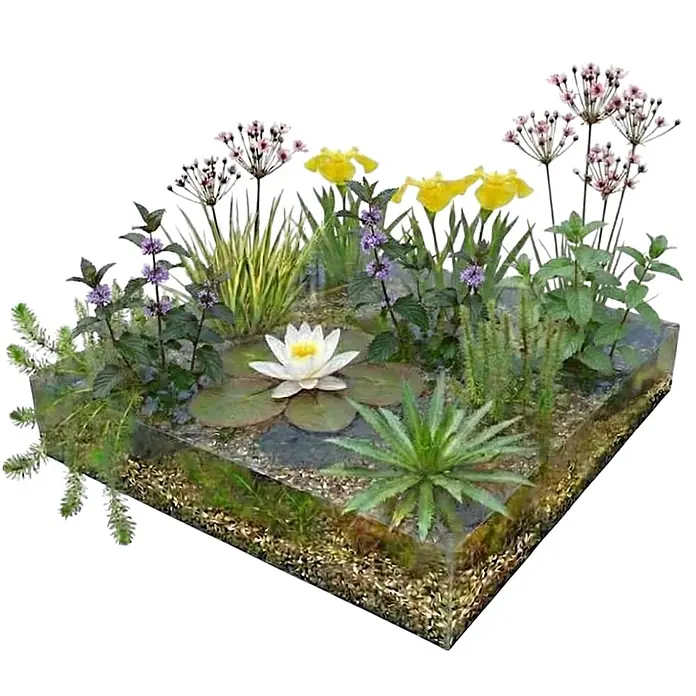 Vdvelde Wasserpflanzen-Mix - Pflanzenmischung, 116 Stk. - Klares, quadratisches Miniaturteichbecken mit einer weißen Seerose, gelben Schwertlilien, violetten Blüten und verschiedenen Wasserpflanzen.