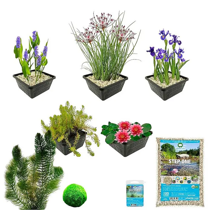 Vdvelde Wasserpflanzen-Mix - Pflanzenmischung, 24 Stk. - Wasserpflanzen in Töpfen und lose, ein Moosball und zwei Verpackungen für Teichpflegeprodukte.