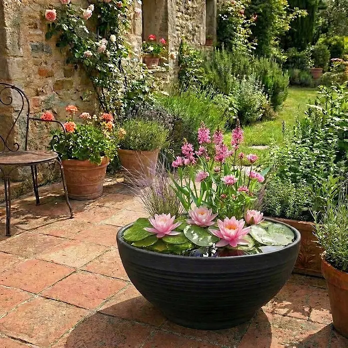 Vdvelde Wasserpflanzen-Mix - Pflanzenmischung, 4 Stk. - Schwarze strukturierte Schale mit rosa Seerosen auf einer Terrasse, als dekoratives Wasserelement genutzt.